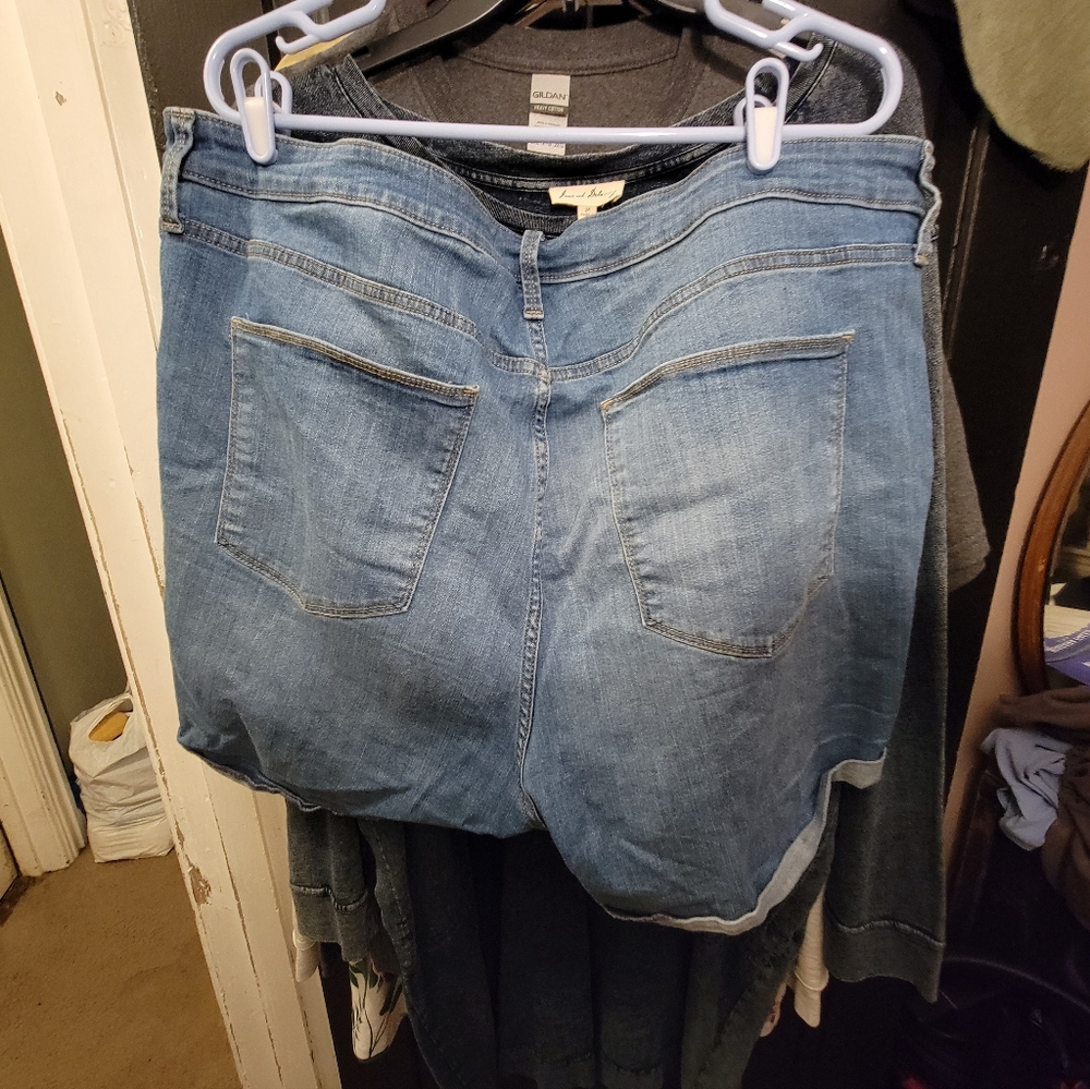 Universal Thread Jean Shorts 22W